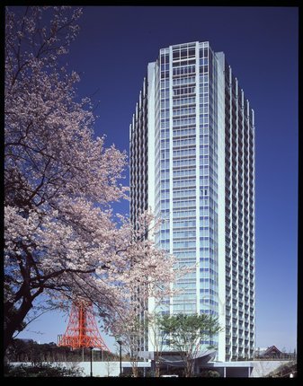 桜２.JPG