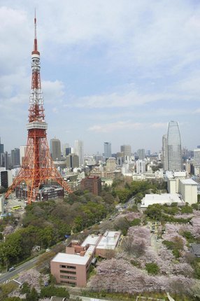 桜４.JPG
