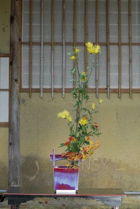 _DSC9027(1).jpeg