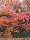 DSCF2031