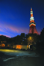 芝夜.tif