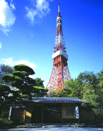 芝昼間.tif
