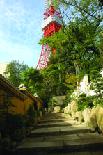 芝坂道昼.jpg