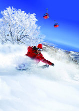 ski image1_b.jpg