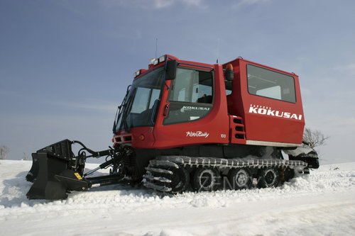 snow cat_b.jpg