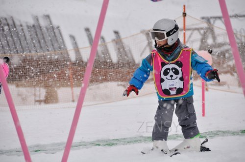 pandaruman2012_1_12.JPG