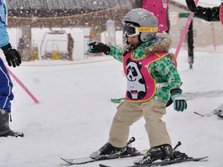 pandaruman2012_1_14.JPG