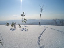 Snow shoe hiking 1.JPG