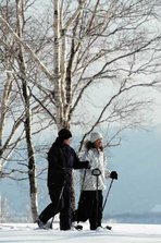 Snowshoe Hiking.jpg