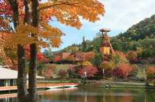 Coal Mine Museum 5.JPG