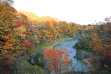 TAKINOUE PARK.JPG