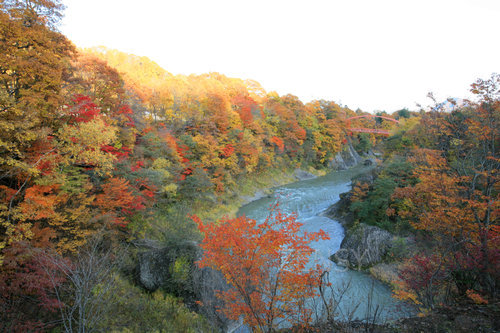 TAKINOUE PARK.JPG