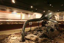 Yubari Fossil Museum.JPG