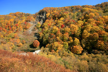 IMG_8309.JPG