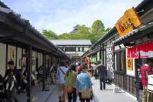 夋憸 005