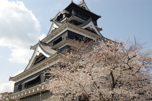 孎杮忛嶗2008 (2)