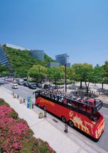 B1_fukuoka_all_001.jpg
