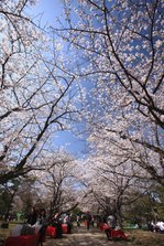 _C1R0225.jpg