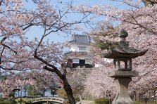 大村公園桜（灯籠）.JPG