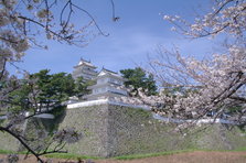 l_163021.jpg
