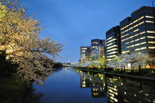 舞鶴公園