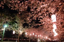 2_tadamoto-park-night.jpg