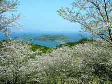 丸岡公園.jpg
