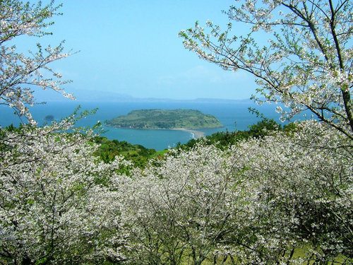 丸岡公園.jpg