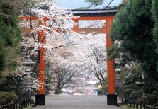 霧島神宮.jpg