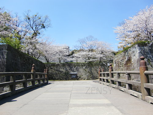 鶴丸城の城門.JPG