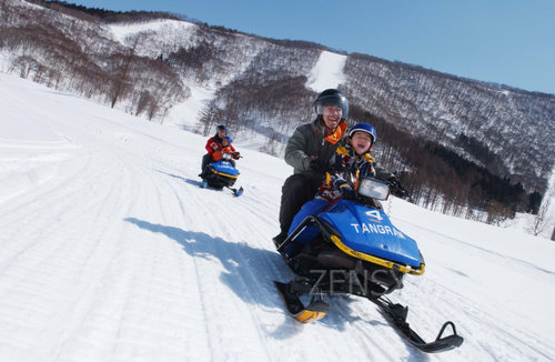 20130111snowmobile.jpg