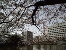 CA3F0857.JPG