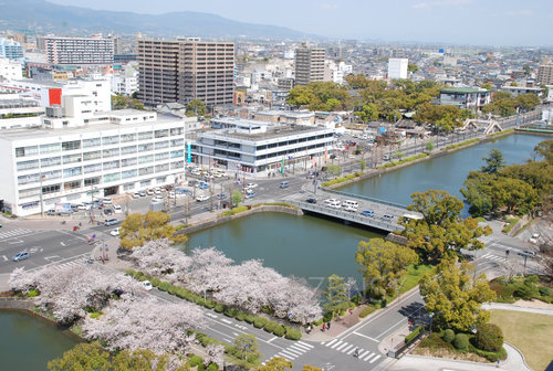 さくら 001.jpg