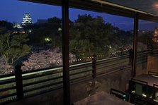 桜風景 (10).jpg