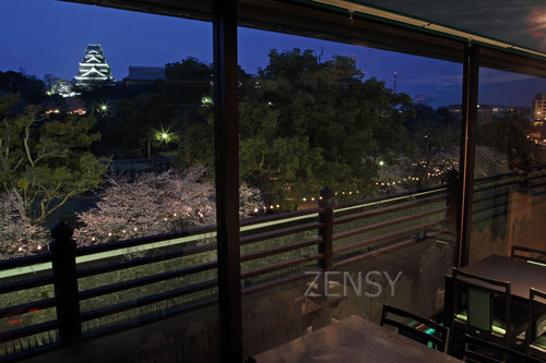 桜風景 (10).jpg