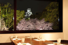 桜風景 (14).jpg