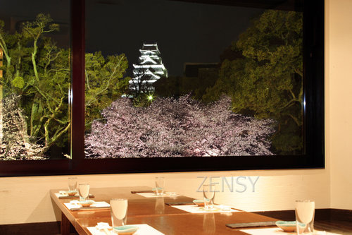 桜風景 (14).jpg