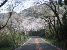 20130116.JPG