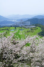 20130117_002.jpg