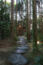 DSCF1695.JPG