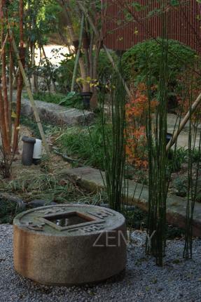 DSCF2063.JPG