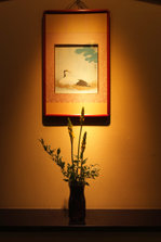 DSCF2136.JPG
