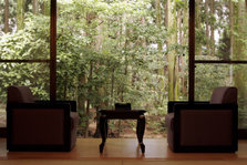 翠月山茶花広縁.JPG