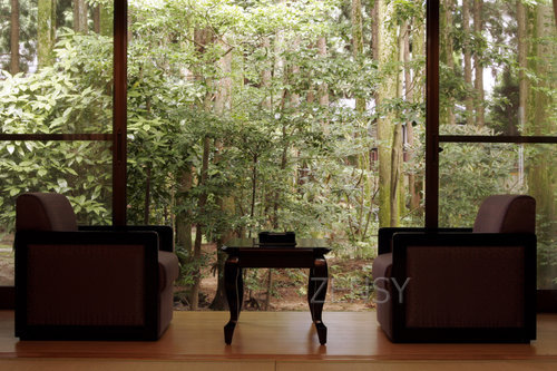 翠月山茶花広縁.JPG