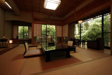 翠月山茶花本番.JPG