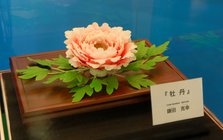 榓壻巕岺寍壻巕壊扥.jpg