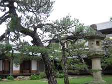 庭