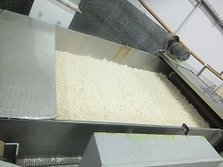 DSCF0974