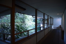 D4X_7676.JPG