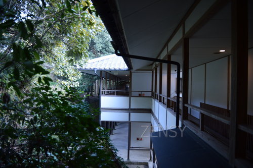 D4X_7678.JPG